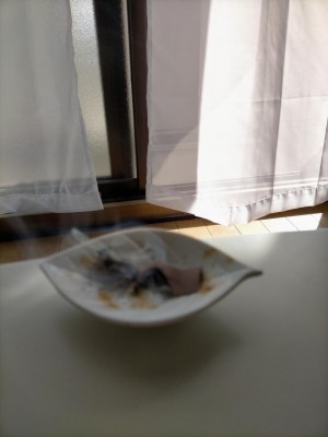IMG20211019100127.jpg