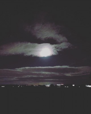 IMG_20211218_183426_603.jpg
